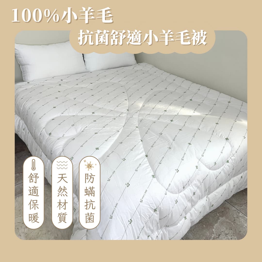 100%小羊毛抗菌舒適被/雙人加大單人冬被被胎/天然保暖