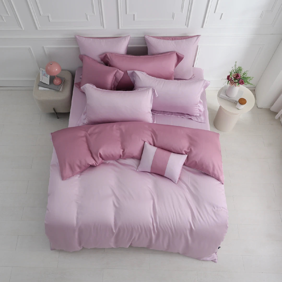 60支天絲/床包枕套被套/單人雙人加大特大/丁香黑莓/0660